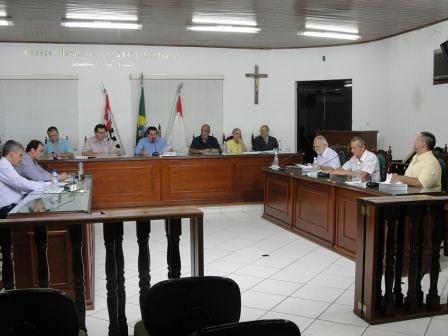 Plantio de árvores começa pela Avenida João Vitte 